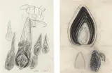 Terry Winters, Two Works: i) Untitled, 1983; ii) Untitled