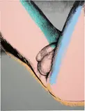 Andy Warhol, Torso, 1977, synthetic polymer and silkscreen ink on canvas