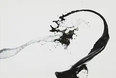 Shinichi Maruyama, Kusho #2, 2006, archival pigment print