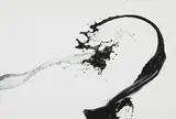 Shinichi Maruyama, Kusho #2, 2006, archival pigment print