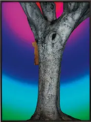 Spectrum Series: Trunk by Sterling Ruby, 2003, Lambda print mounted on Sintra and UV Plexiglas, sold May 2013
