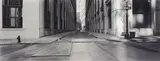 Catherine Opie, Untitled #14 (Wall Street), 2001, iris print