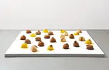Ernesto Neto, Labioides de cheiro