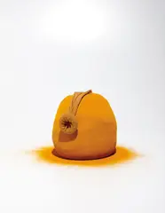 Untitled by Ernesto Neto, 1998, turmeric in nylon stocking, sold May 2013