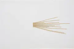 Jorge Macchi, Cadaver exquisito, 2005, newspaper collage on paper