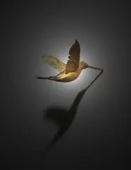 Terrence Koh, JP Huitzilopochtli (Fallen Warrior), 2007, hummingbird drenched in warrior's piss, feathers, armature, gold paint, 24 karat gold leaf