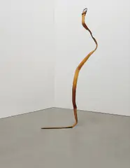 Jim Lambie, Venom Wild Pitch, 2002, belt, wire, acrylic