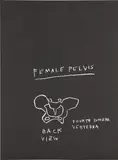 Jean-Michel Basquiat, Anatomy: One Plate, 1982, lithograph on Arches paper