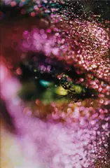 Pink Mist by Marilyn Minter, 2006, chromogenic print, sold Sep 2013
