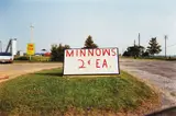 Untitled (Minnows 2 Cents) from the Los Alamos Portfolio by William Eggleston, 1965-74, dye transfer print, printed in 2002, sold Sep 2013