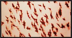 Michal Rovner, Mutual Interest #1, 1997, chromogenic print on Fujiflex paper