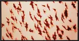 Michal Rovner, Mutual Interest #1