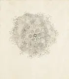 Ruth Asawa, Untitled