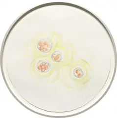 Mariko Mori, Connected World (Drawing III), 2000, pastel and watercolor on paper, in artist's aluminum frame