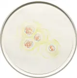 Mariko Mori, Connected World (Drawing III), 2000, pastel and watercolor on paper, in artist's aluminum frame