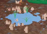 Ion Birch, Puddle, 2000, gouache on paper