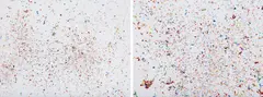 Dan Colen, Moments Like This Never Last, 2010, chromogenic print, in 2 parts