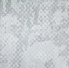 Wayne Gonzales, Waiting Crowd, 2007, acrylic on canvas