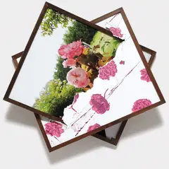 Brendan Fowler, Fall 2009 (Screen Flower print, Flower on walk with Andrea/ Terry/Cindy 1), 2009, digital chromogenic print, silkscreen ink and enamel on paper, in artist's frame