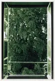 Tree Filling Window by Wolfgang Tillmans, 2002, chromogenic print, in artist's frame, sold Nov 2013