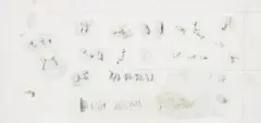 Michaël Borremans, Shotgun Aesthetics, 2003, pencil, watercolor, gouache on cardboard