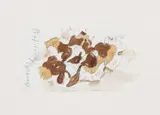 Claes Oldenburg, Profiteroles Pyrenees Barcelona, 1991, pencil, watercolor on paper