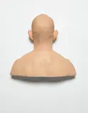 Evan Penny, Back of Jay, 2004, silicon, pigment, hair, aluminum