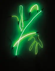 Keith Sonnier, Untitled, 2004, neon tubing and transformer