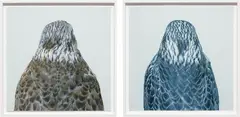 Roni Horn, Untitled, No. 8, 2000, Iris print, in 2 parts