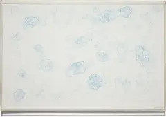 Untitled (Bubble Drawing) by Tara Donovan, 2005, ink on foamcore, sold Nov 2013