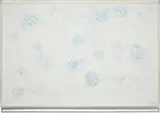 Tara Donovan, Untitled (Bubble Drawing), 2005, ink on foamcore