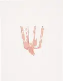 Richard Tuttle, Walk #5 (Pink), 2006, oil, pencil on cardboard on balsa