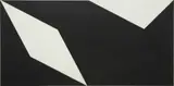 Lygia Clark, Superfície Modulada No. 2