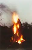 Ana Mendieta, Untitled (from Silueta Series, Iowa)