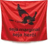 Hélio Oiticica, Seja marginal seja herói