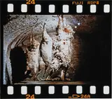 Tania Bruguera, Uniformes, 1998, chromogenic print