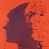 Andy Warhol, The Shadow, 1981, Unique screenprint in colors, on Lenox Museum Board, the full sheet,