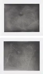Untitled (Web 3); and Untitled (Web 4) by Vija Celmins, 2002-03, Two works, comprising one aquatint with burnishing, scraping and drypoint, and one photogravure with burnishing and dryp, offered Apr 2013
