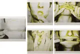 Bruce Nauman, Study for Holograms, 1970, The complete set of five screenprints in colors, on Kromekote paper, the full sheets,