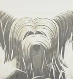 Alex Katz, Black and White Sunny, 1976, Lithograph in colors, on Arches Cover paper, the full sheet,
