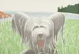 Alex Katz, Dog at Ducktrap, 1976, Lithograph in colors, on Arches Cover paper, the full sheet,