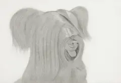 Sunny by Alex Katz, 1974, Aquatint and etching, on German Etching paper, the full sheet,, sold Apr 2013