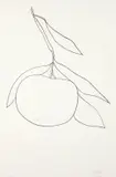 Grapefruit (Pamplemousse), from Suite of Plant Lithographs by Ellsworth Kelly, 1964-1965, Lithograph, on Rives BFK paper, with full margins,, sold Apr 2013