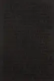 Glenn Ligon, Untitled, 1992, Etching in colors, on black Rives BFK paper, with full margins,