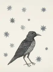 Bird with Stars by Kiki Smith, 2005, Etching, drypoint and aquatint, on wove paper, the full sheet,, sold Apr 2013