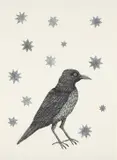 Kiki Smith, Bird with Stars, 2005, Etching, drypoint and aquatint, on wove paper, the full sheet,
