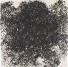 Untitled (hair) by Kiki Smith, 1990, Lithograph, on custom hand-made Mitsumashi paper, the full sheet,, sold Apr 2013