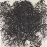 Kiki Smith, Untitled (hair), 1990, Lithograph, on custom hand-made Mitsumashi paper, the full sheet,