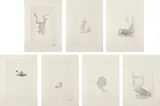 Kiki Smith, Hunters and Gatherers, 2003, The complete set of seven etchings with aquatint, on Hahnemühle paper, with full margins, with text by Susanna Moore,