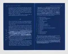 Ann Hamilton, Reading…The Song of the Dodo by David Quammen, January 2008, 2008, Archival inkjet print, on photo paper, with full margins,